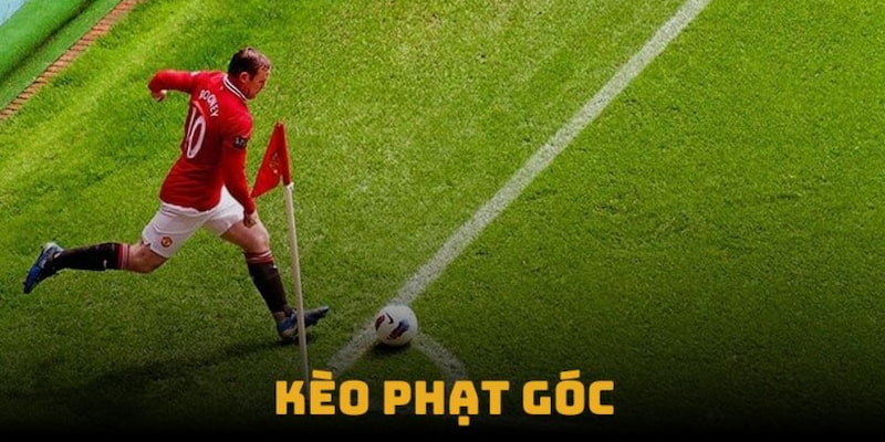 Kèo phạt góc - Mở rộng cơ hội thắng cược mỗi trận đấu